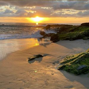 青青伊人网在线观看
