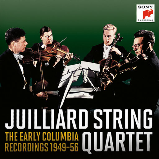 青青伊人网在线观看
